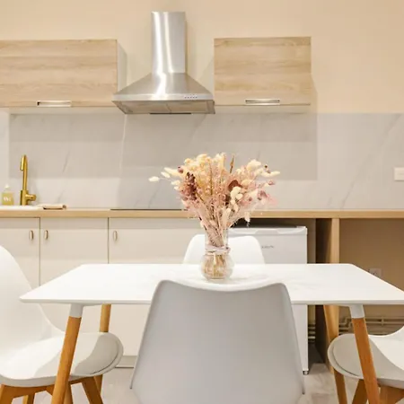 Oasis Tropicale - Cosy Et Calme A 10 Min De La Gare De Appartamento Roanne